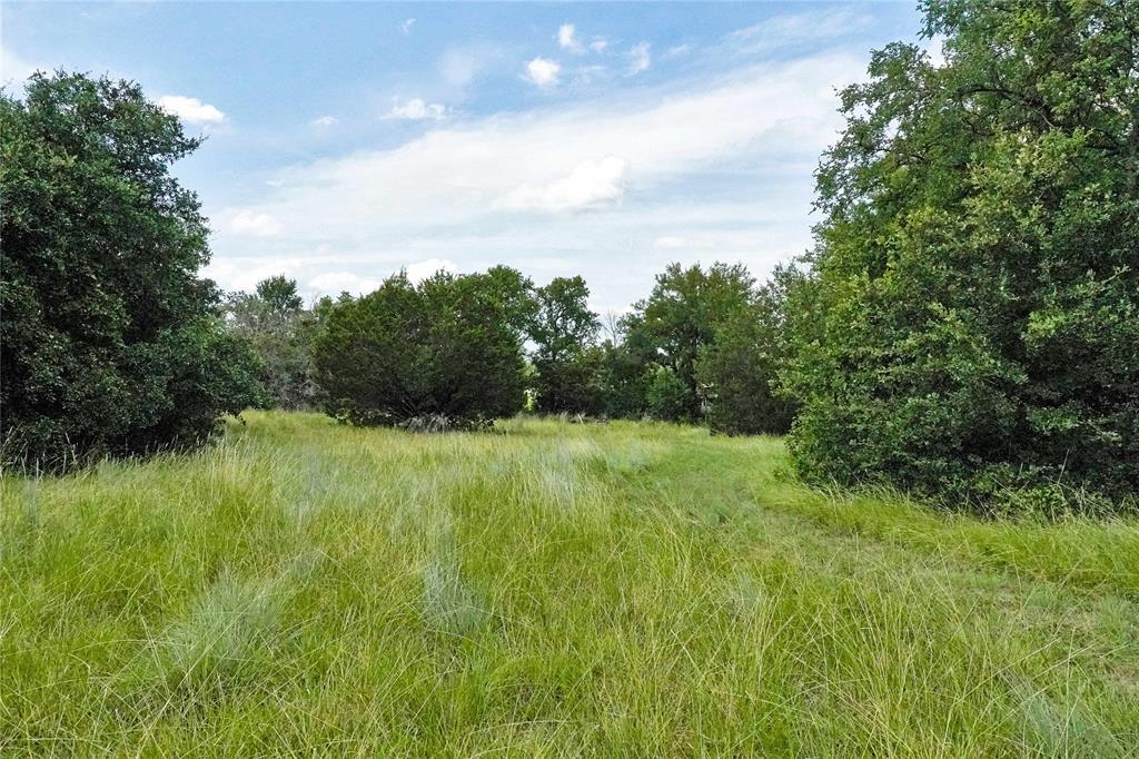 157-acres Nash Road Jacksboro, TX 76458 - Photo 23 of 40 Gallery Image 23