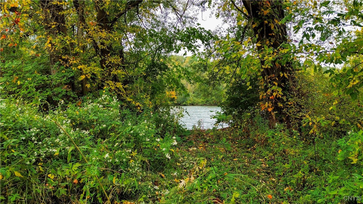 Lot 14.1-lot Ashe Road Little Falls, NY 13365 - Photo 21 of 32