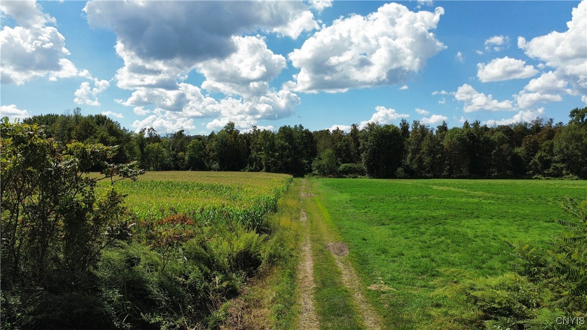 Lot 14.1-lot Ashe Road Little Falls, NY 13365 - Photo 4 of 32