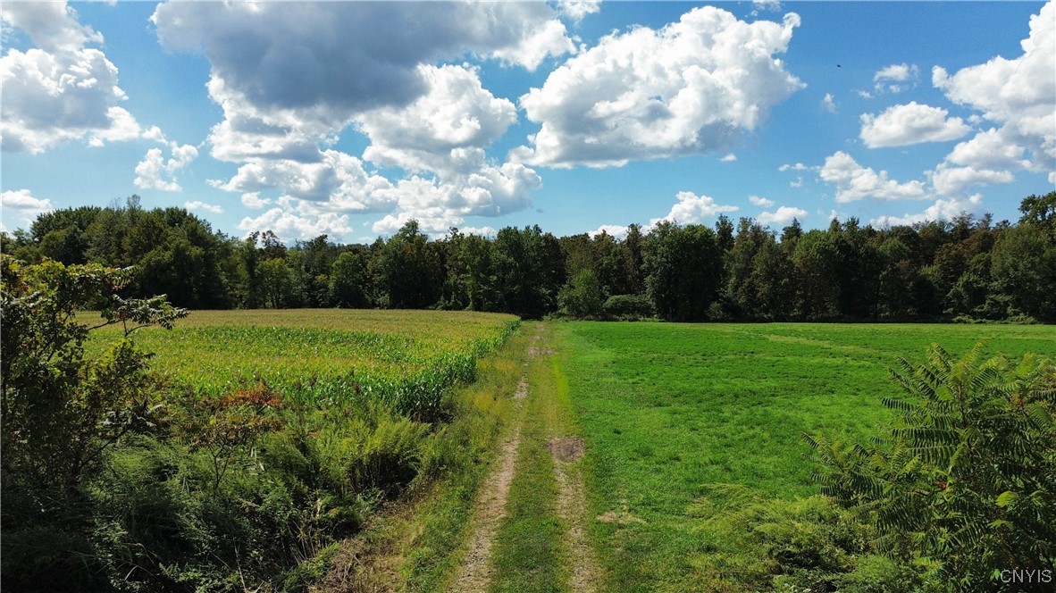 Lot 14.1-lot Ashe Road Little Falls, NY 13365 - Photo 5 of 32
