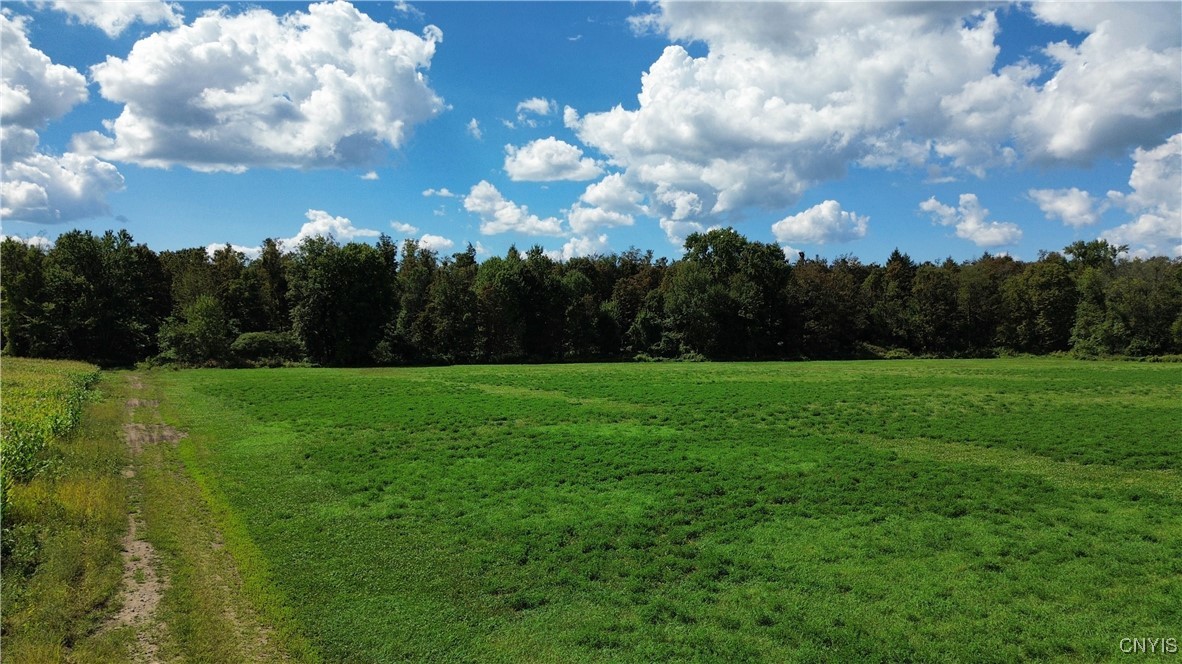 Lot 14.1-lot Ashe Road Little Falls, NY 13365 - Photo 6 of 32