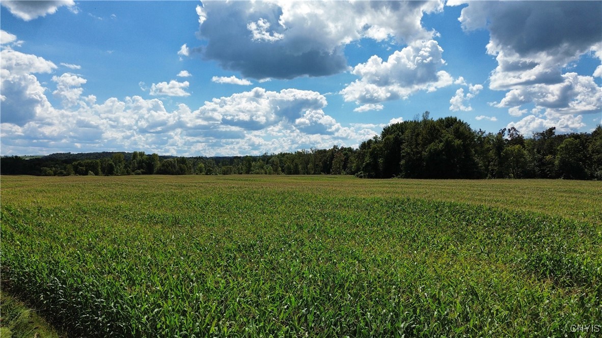 Lot 14.1-lot Ashe Road Little Falls, NY 13365 - Photo 7 of 32