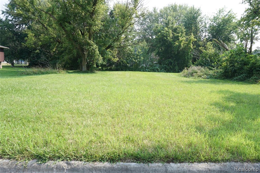 Vacant Penn Street Inkster, MI 48141 - Photo 2 of 4