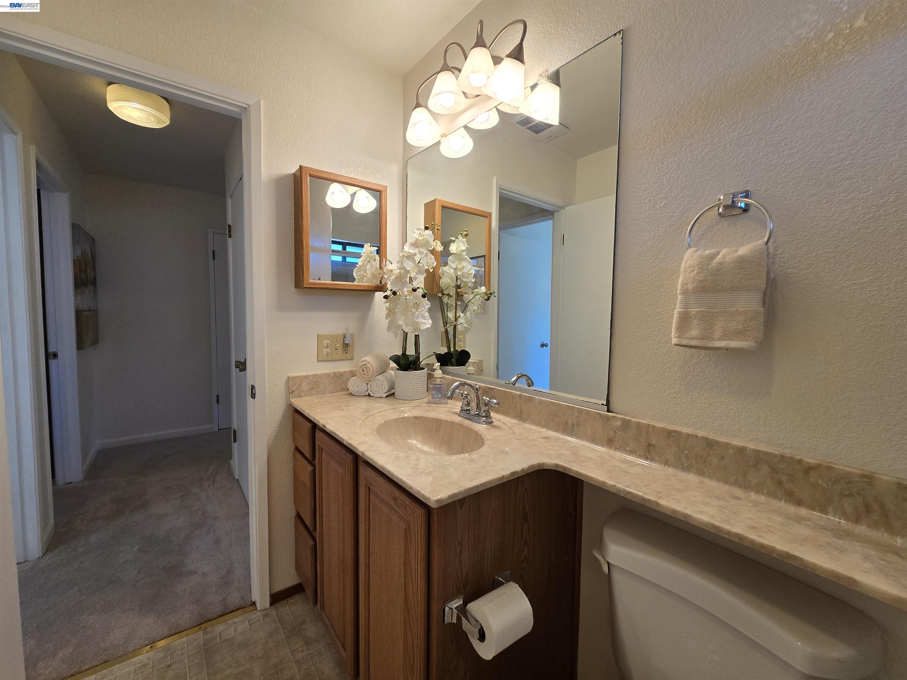 161 Hackamore Lane Fremont, CA 94539 - Photo 56 of 60 a bathroom with a sink a mirror and a light fixture