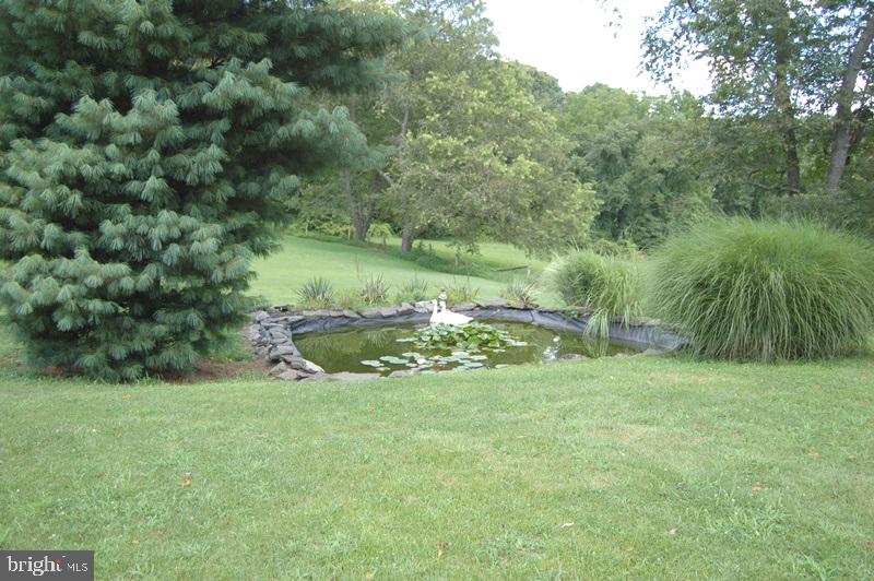 3800 York Rd. Furlong, PA 18925 - Photo 4 of 28 Gallery Image 4