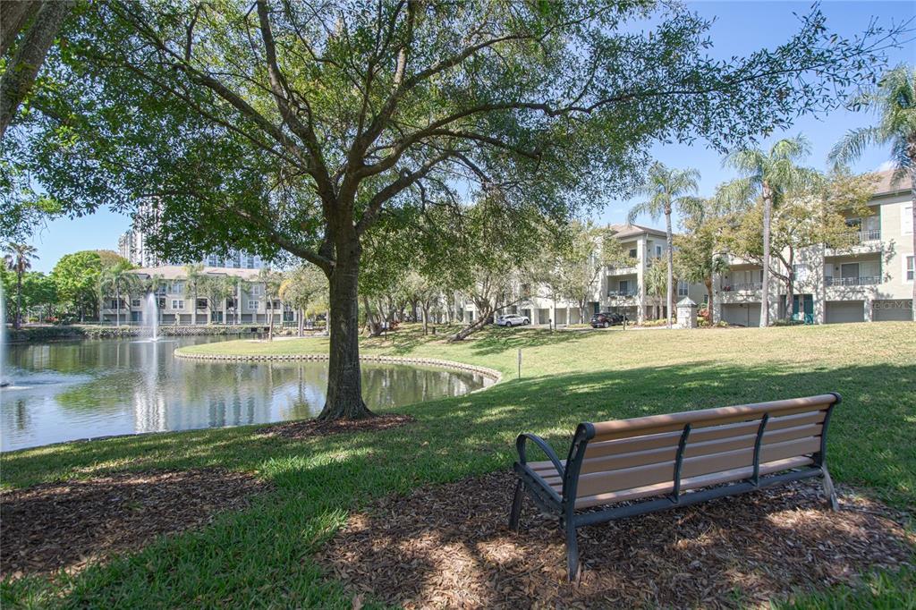845 Normandy Trace Road Tampa, FL 33602 - Photo 25 of 53
