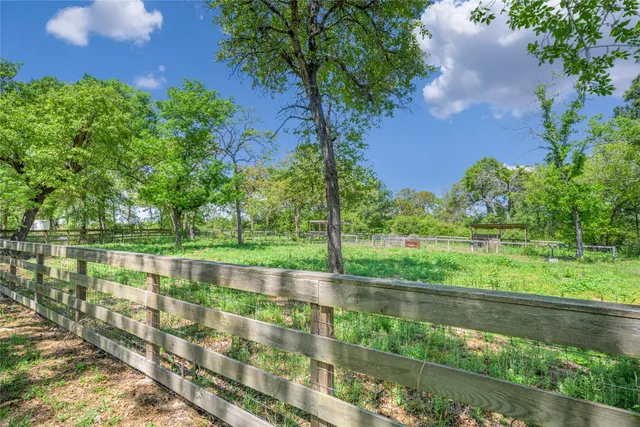 a view of a lush green space