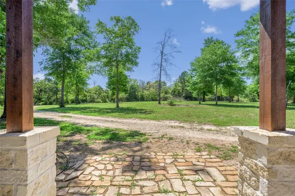 a view of a park with large trees