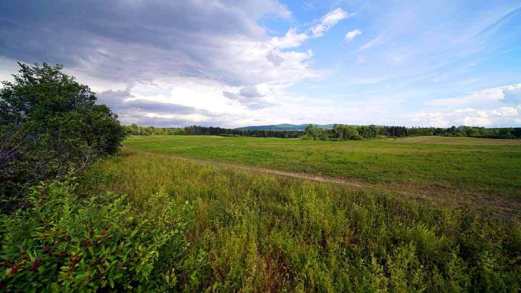 1025 Dyer Brook Road Dyer Brook, ME 04747 - Photo 5 of 39 dyer-brook-me-farm-9