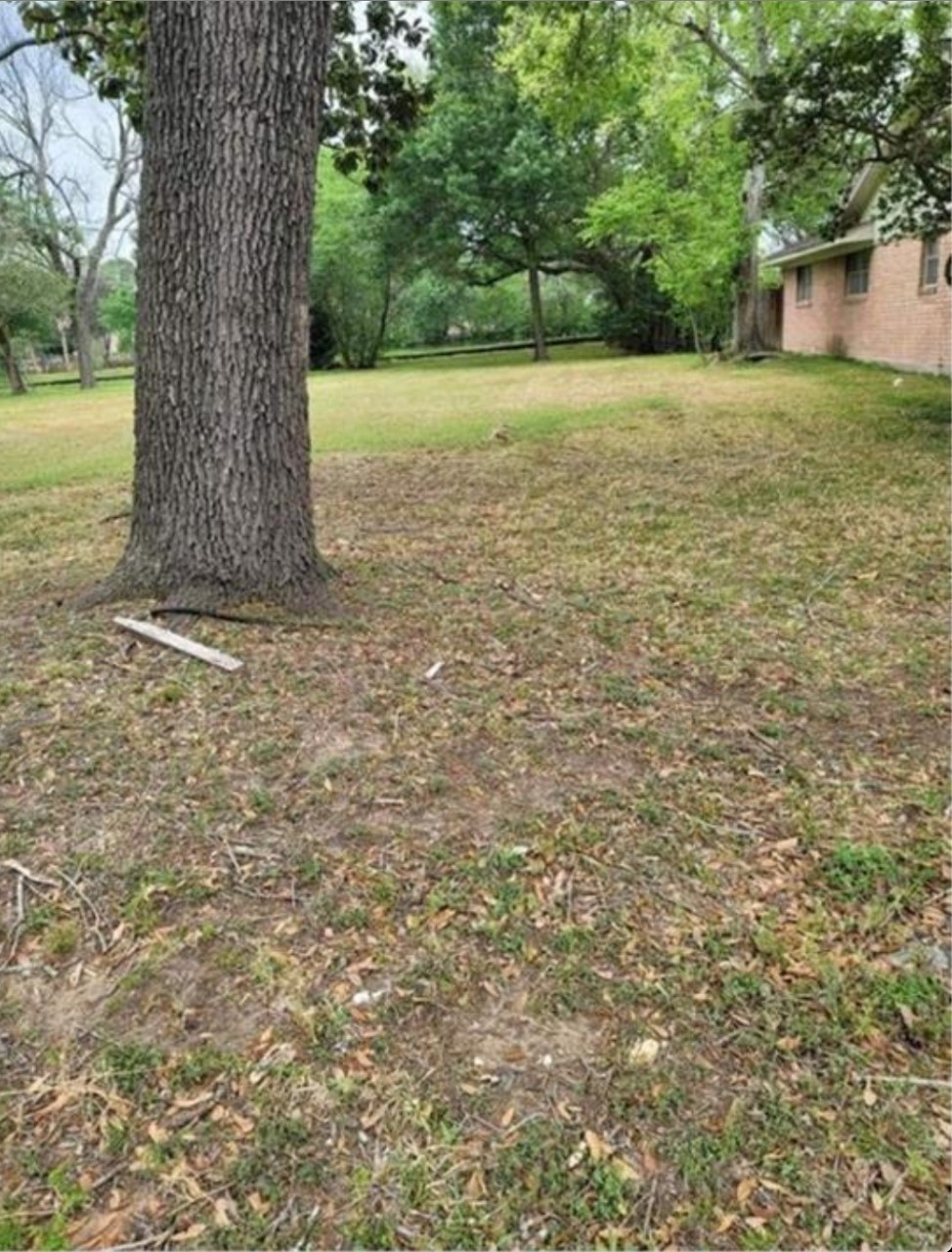8835 Valley View Lane Houston, TX 77074 - Photo 2 of 8 a view of a yard with a tree