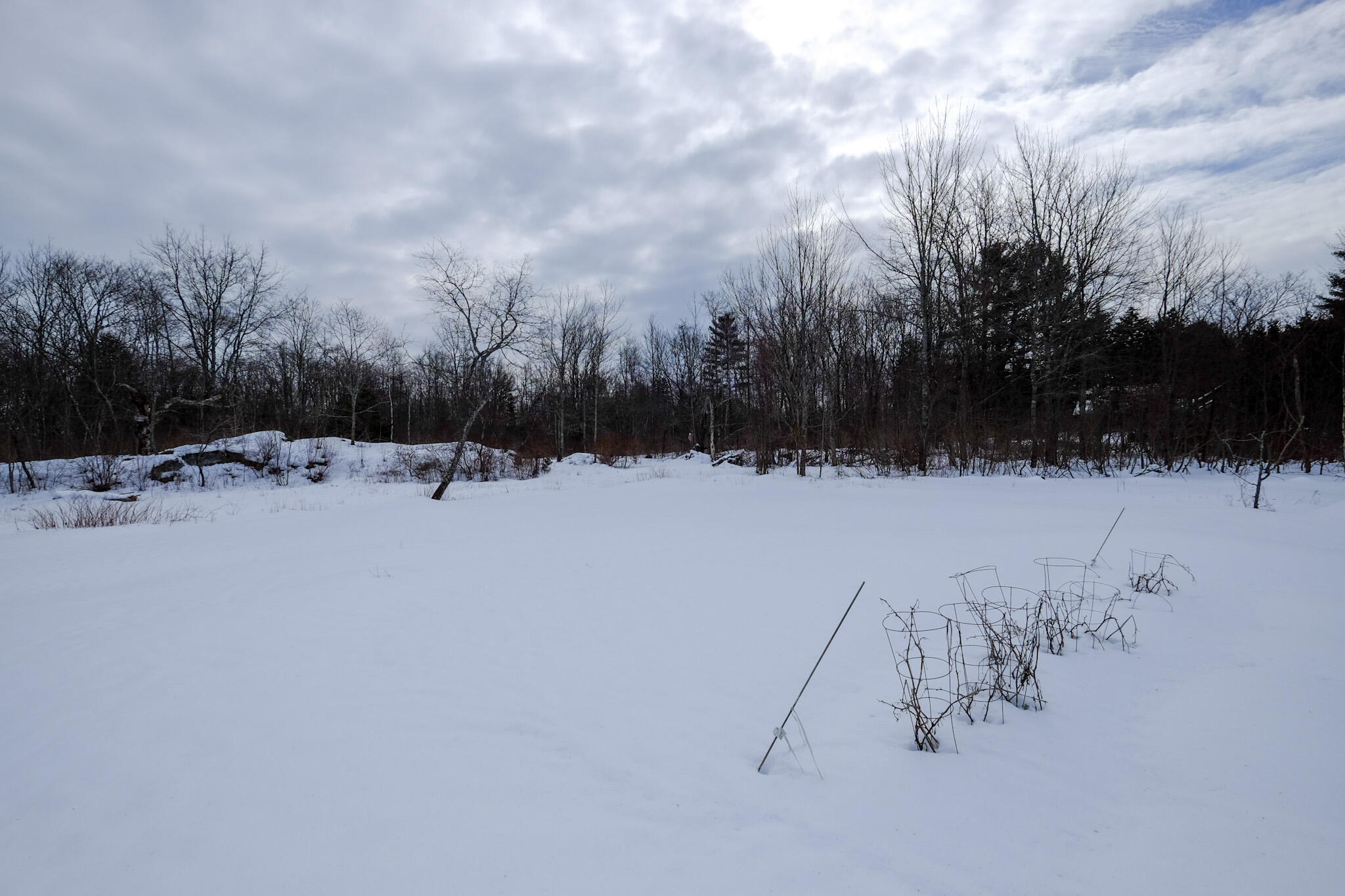 56 Snows Point Road St. George, ME 04860 - Photo 21 of 27 Yard