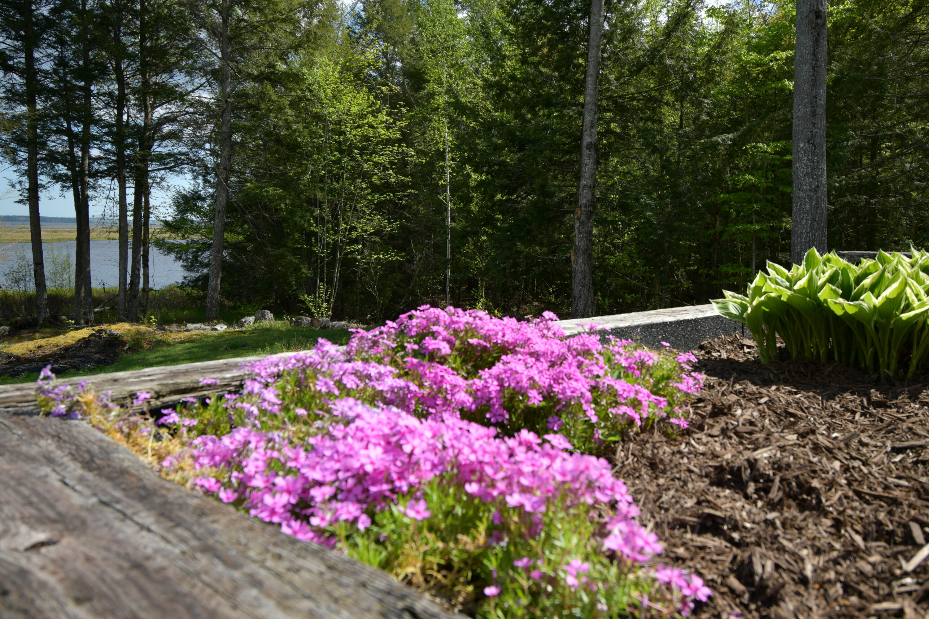 102 Whitmore Road Ellsworth, ME 04605 - Photo 16 of 100 3E1DDFF5-BB51-4047-8F39-B7F77A971B00