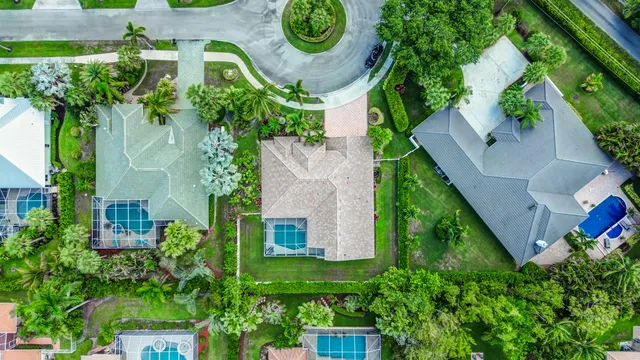 a view of a garden with plants and large trees