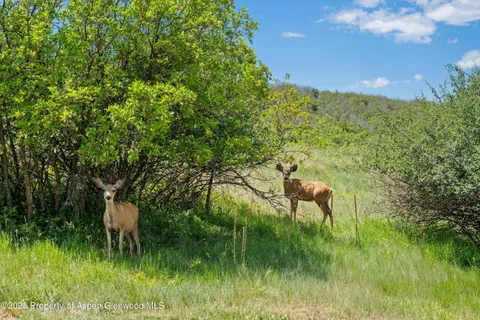 $1,890,000 | 248 Basalt Mountain Drive, Carbondale, CO 81623