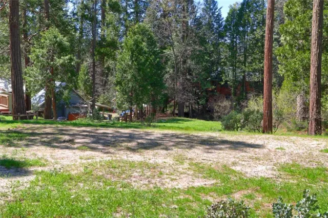 a view of a trees with a yard