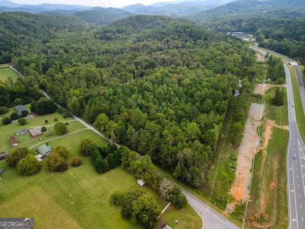 a view of a lush green forest with a lake