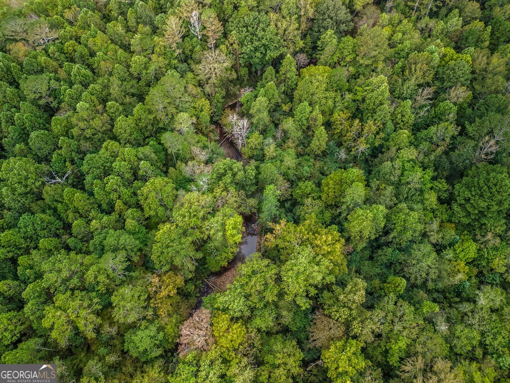 3.11-ac Old Northcutt Road Ellijay, GA 30540 - Photo 7 of 9