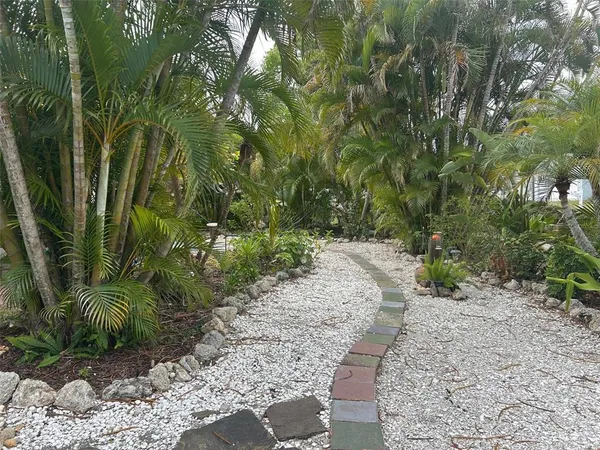 a view of a yard with plants and trees
