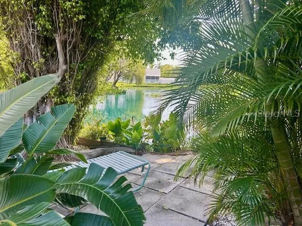 a view of a garden with plants
