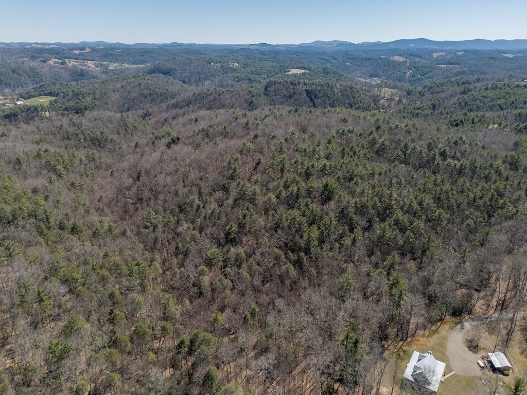 Lot 12 Ridge Line Trail, Unit 12 Independence, VA 24348 - Photo 35 of 66 Gallery Image 35