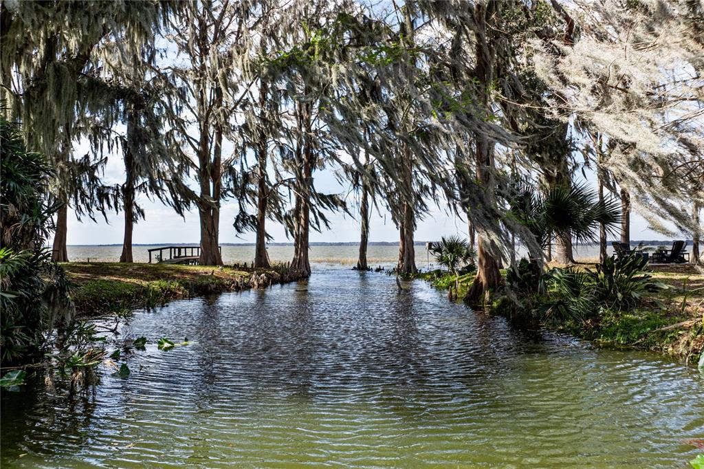 11322 Dead River Road Tavares, FL 32778 - Photo 11 of 78