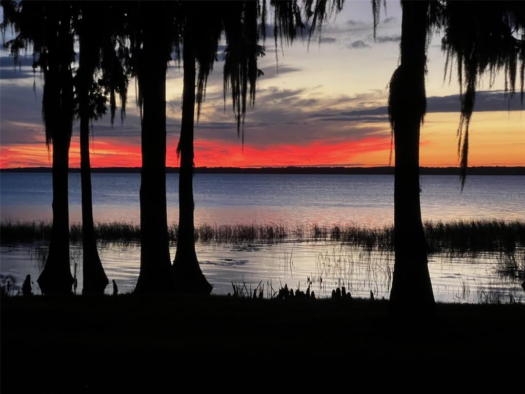 11322 Dead River Road Tavares, FL 32778 - Photo 2 of 78