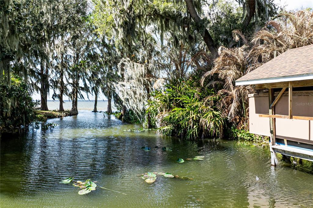 11322 Dead River Road Tavares, FL 32778 - Photo 56 of 78