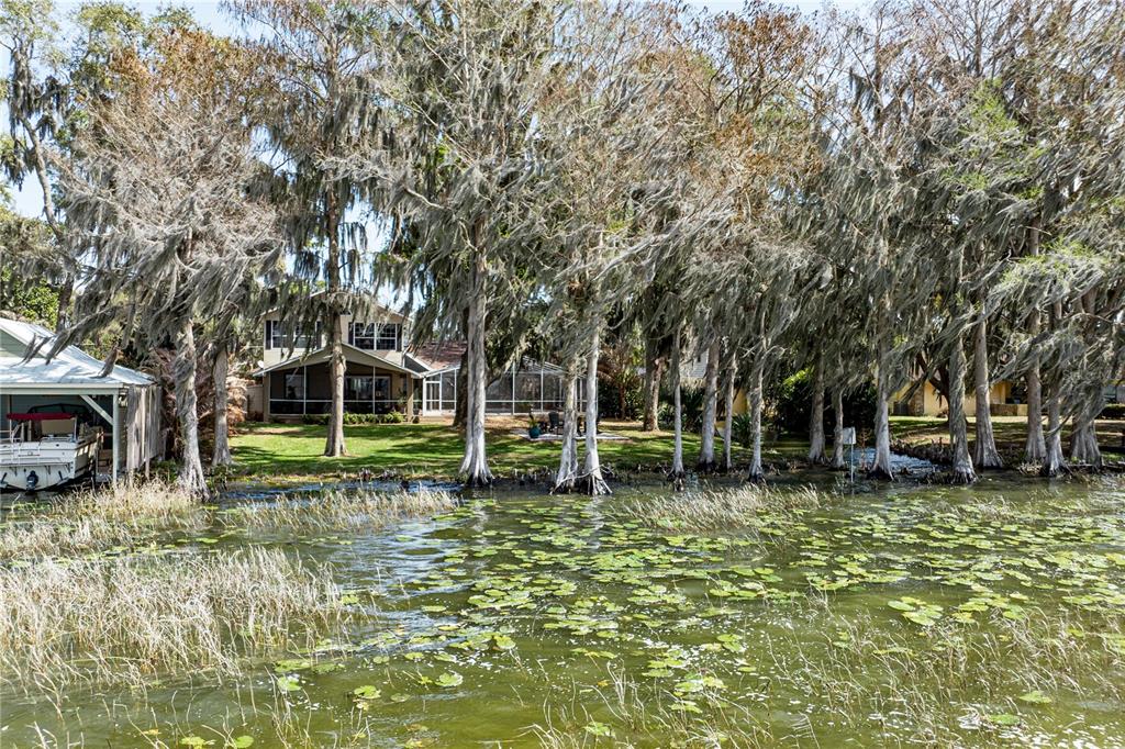 11322 Dead River Road Tavares, FL 32778 - Photo 61 of 78