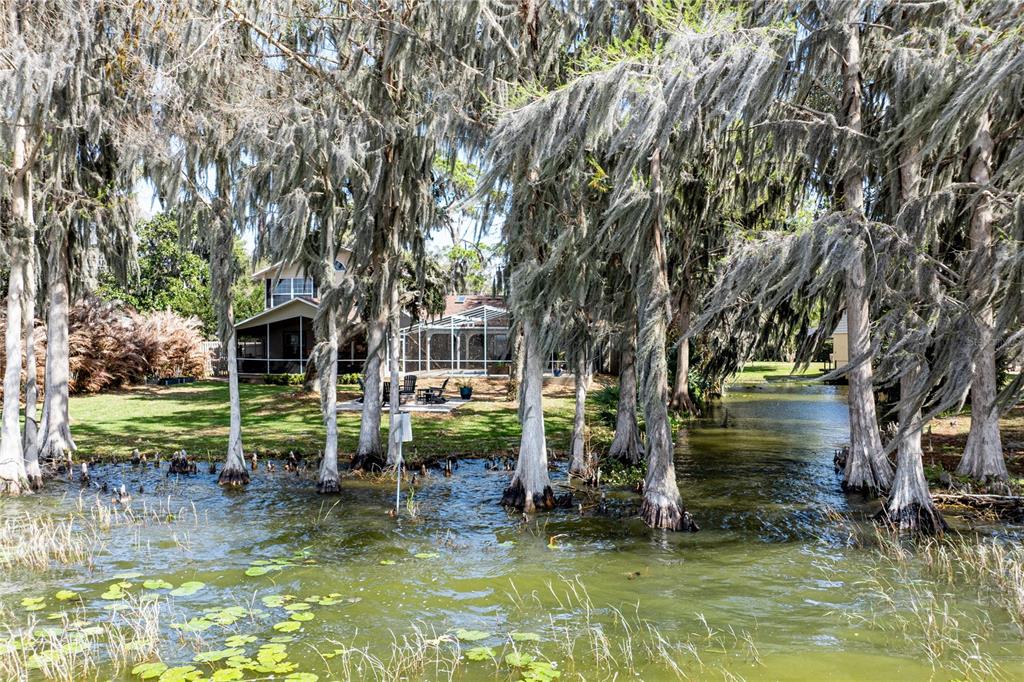 11322 Dead River Road Tavares, FL 32778 - Photo 62 of 78