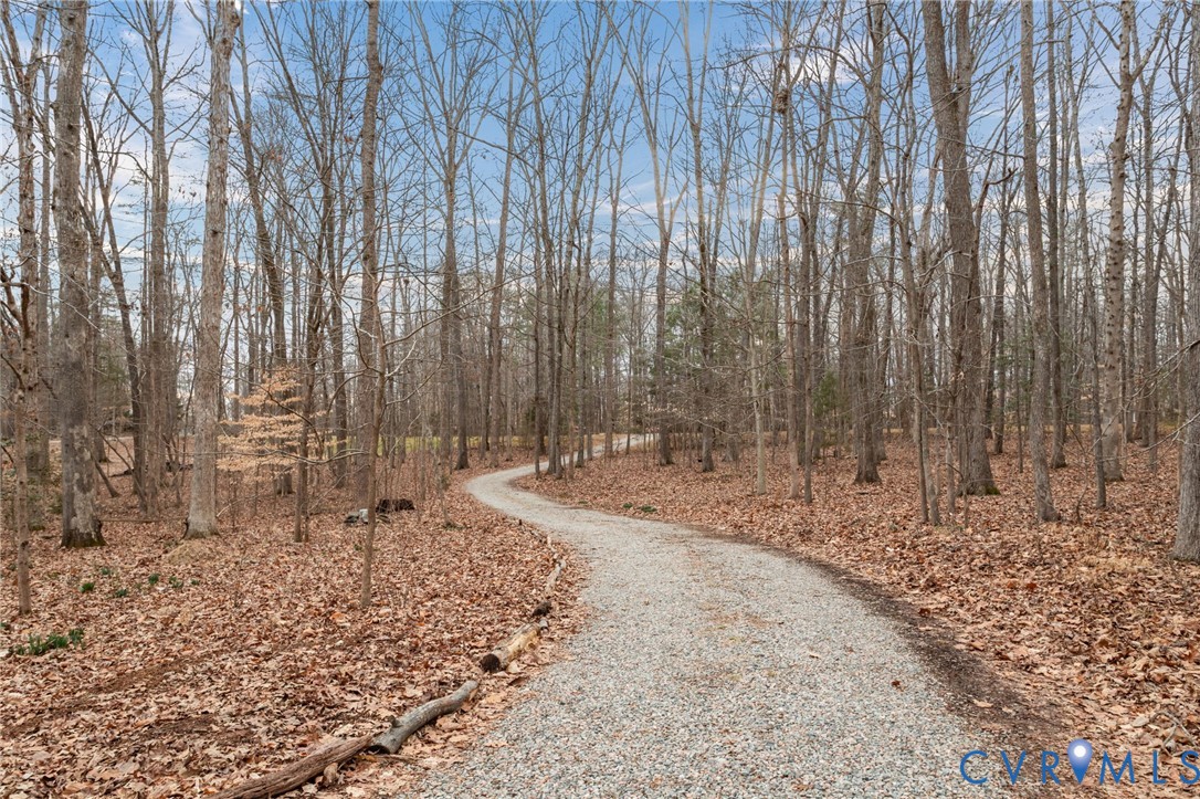 1385 Palmore Road Powhatan, VA 23139 - Photo 50 of 55 Driveway
