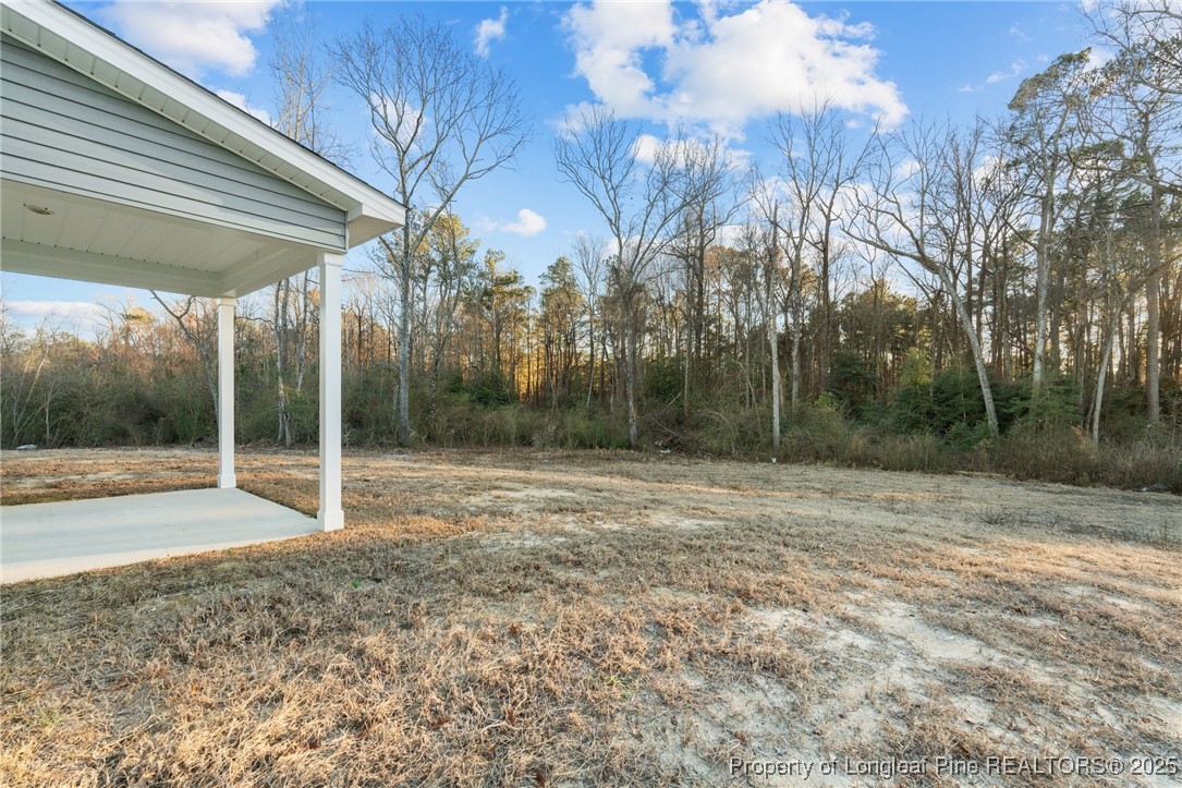 144 Vorster Road Raeford, NC 28376 - Photo 29 of 35
