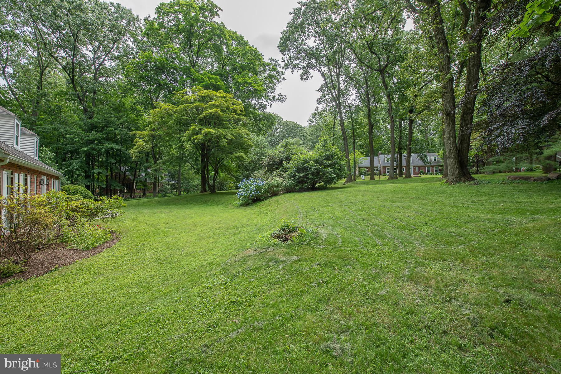 23 Northwoods Road Wayne, PA 19087 - Photo 62 of 62 Park like back yard