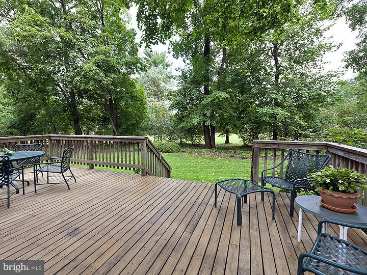 255 Russell Road Princeton, NJ 08540 - Photo 23 of 25 Back Yard