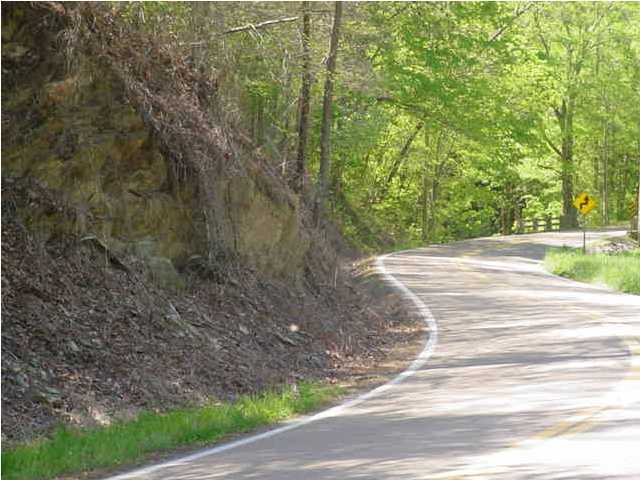 0 Greasy Creek Road Reliance, TN 37369 - Photo 2 of 8 Additional Photo
