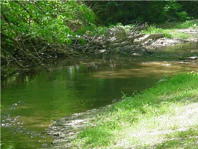 0 Greasy Creek Road Reliance, TN 37369 - Photo 4 of 8 Additional Photo