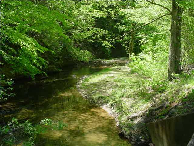 0 Greasy Creek Road Reliance, TN 37369 - Photo 5 of 8 Additional Photo