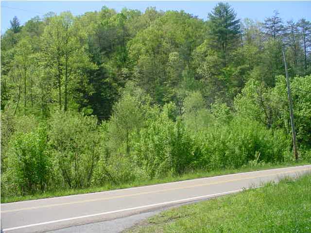 0 Greasy Creek Road Reliance, TN 37369 - Photo 8 of 8 Additional Photo