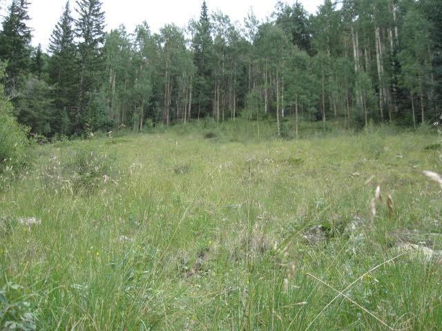 2757 Slegers Road Fort Garland, CO 81133 - Photo 2 of 6 Gallery Image 2