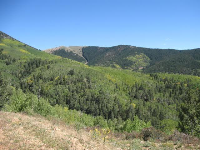 2757 Slegers Road Fort Garland, CO 81133 - Photo 3 of 6 Gallery Image 3