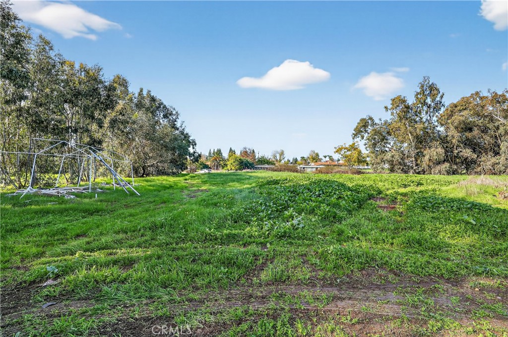 1862 Dunn Road Merced, CA 95340 - Photo 11 of 15 a view of grassy field with trees