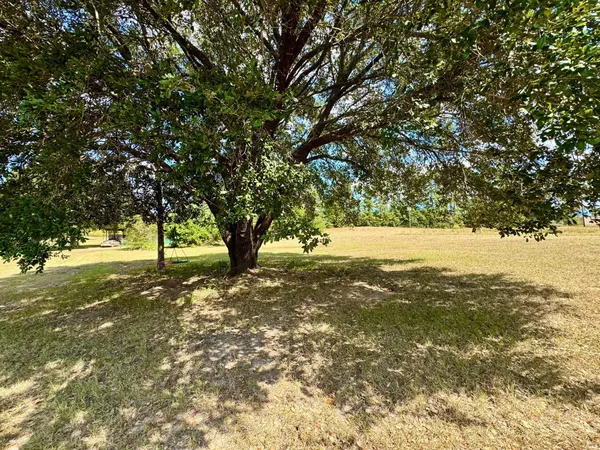 a view of yard with trees