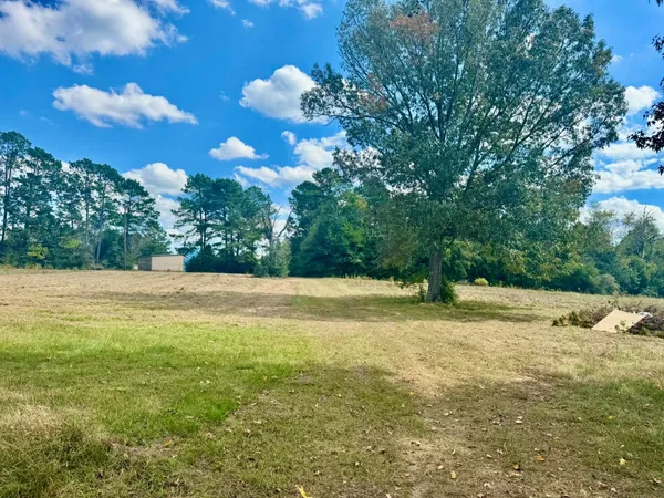 a view of a yard with a tree
