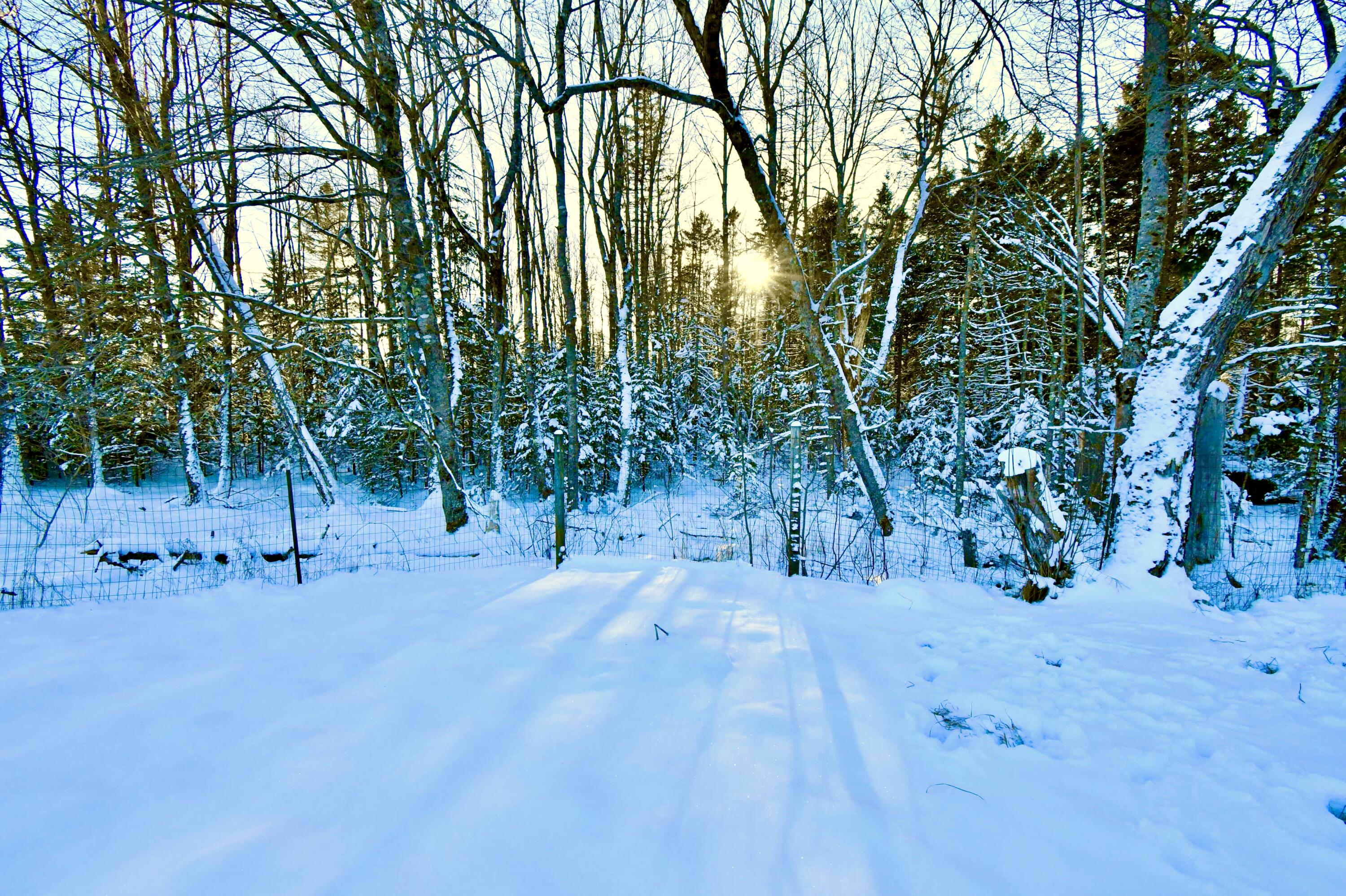 378 Back Bay Road Milbridge, ME 04658 - Photo 13 of 30 DSC_5907