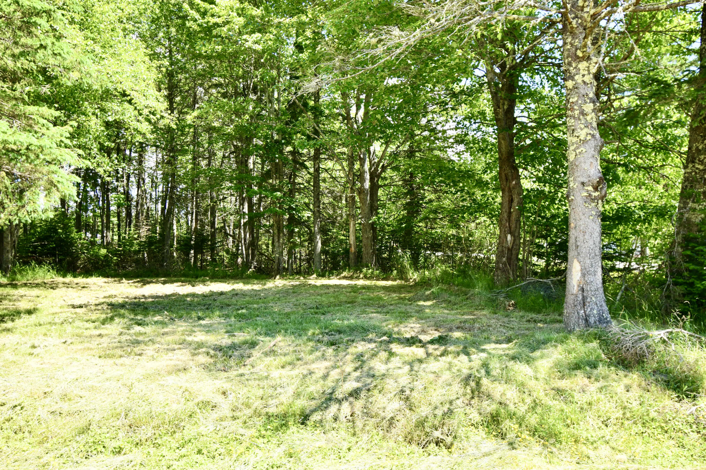 378 Back Bay Road Milbridge, ME 04658 - Photo 29 of 30 5A9C0DD5-715A-43C4-9487-8A6D1AAA9C3D_1_2