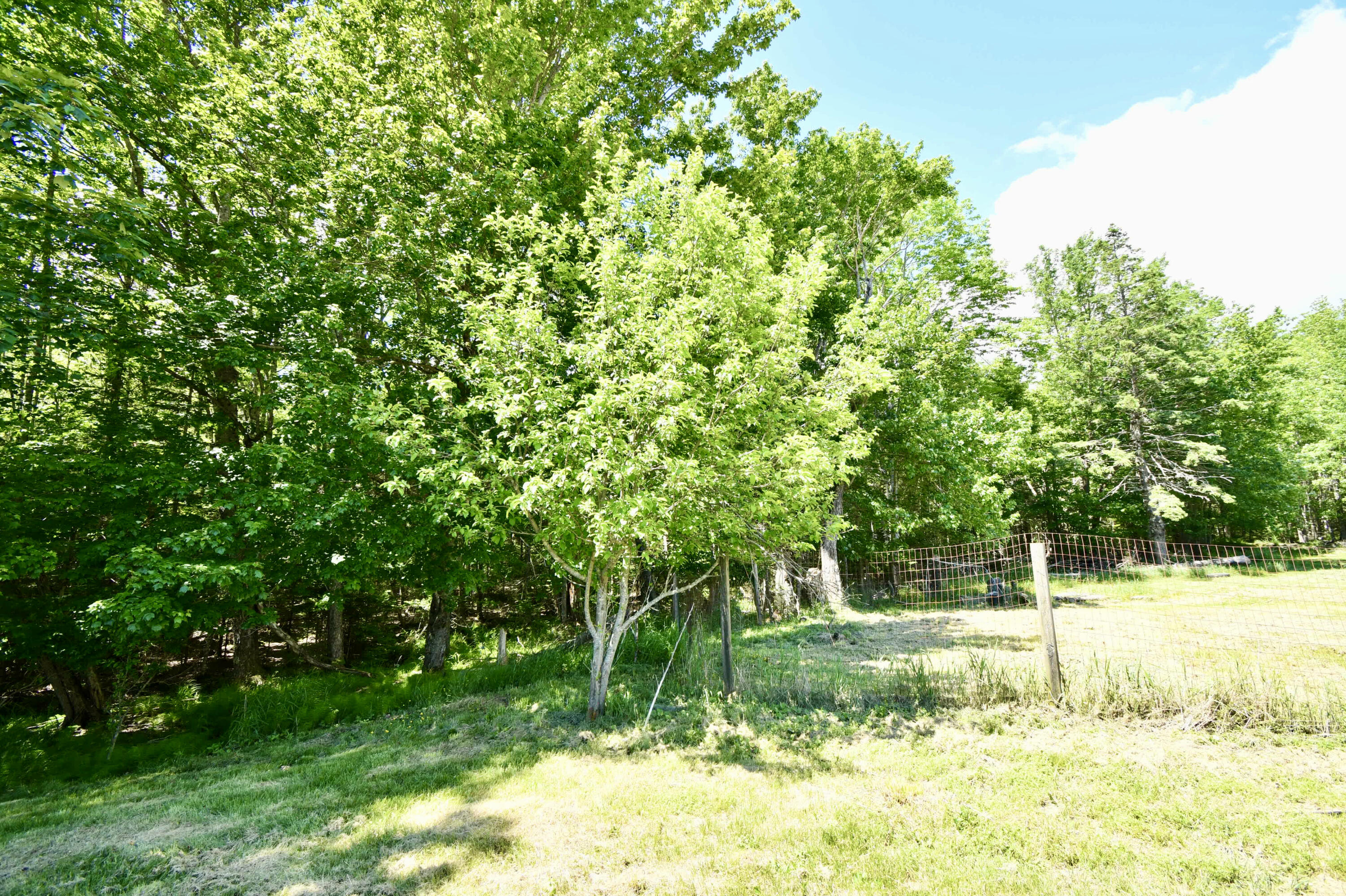 378 Back Bay Road Milbridge, ME 04658 - Photo 30 of 30 ECF4DD77-2FCE-4FC3-8818-F4670CA04745_1_2