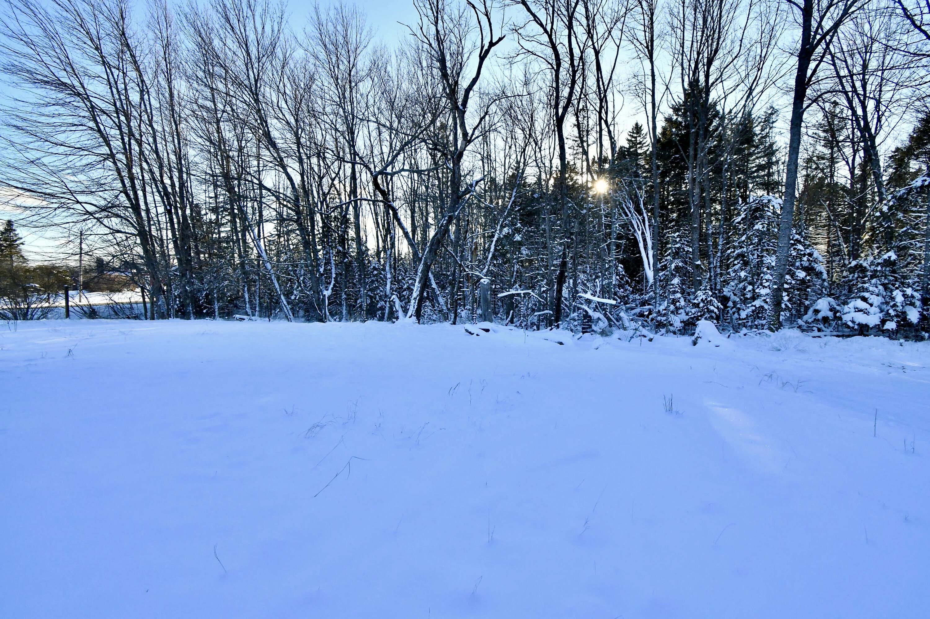 378 Back Bay Road Milbridge, ME 04658 - Photo 10 of 30 DSC_5903