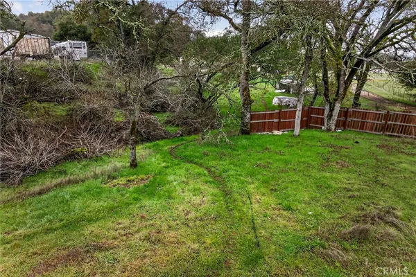 a view of a backyard with large trees