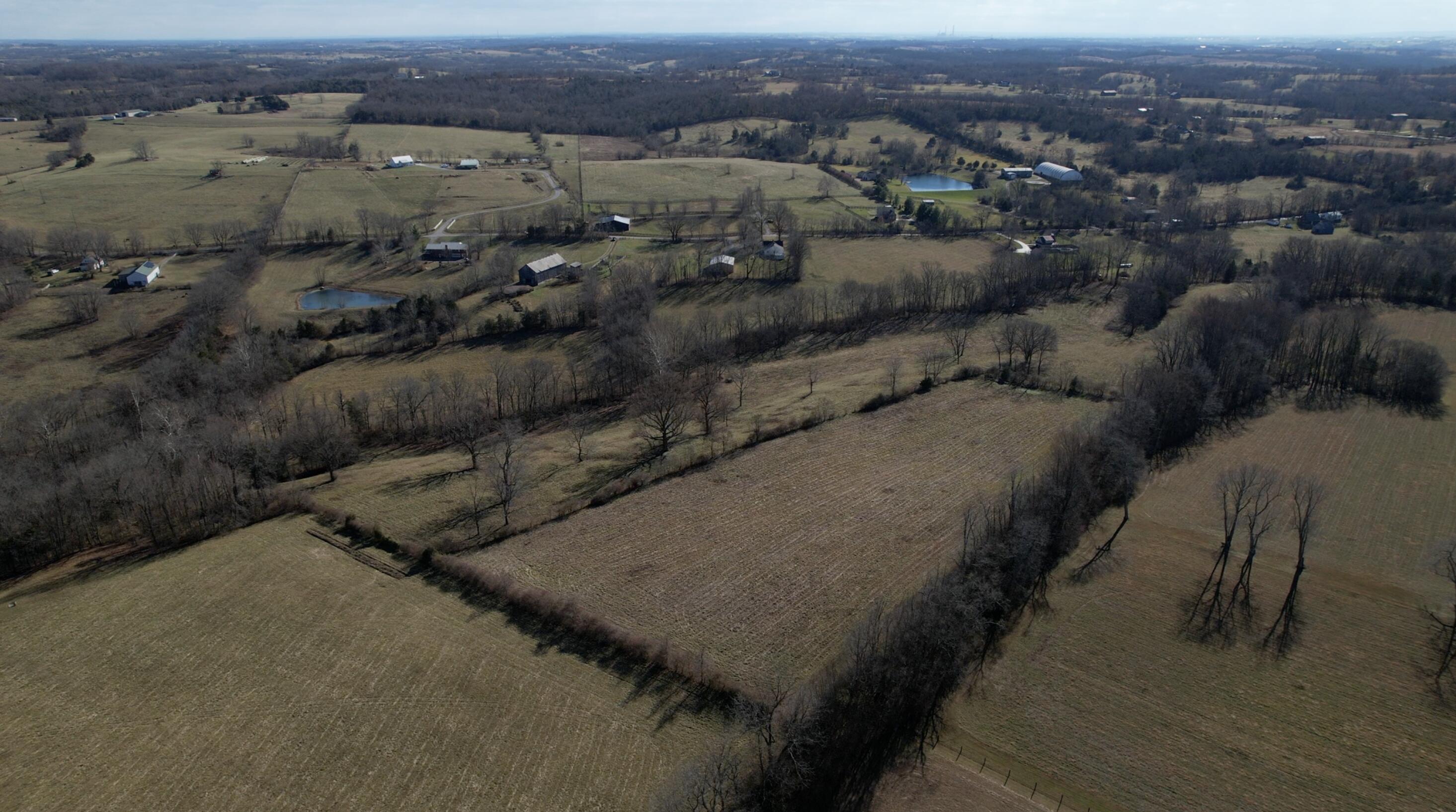 2926 Cummins Ferry Road Versailles, KY 40383 - Photo 34 of 42 23a