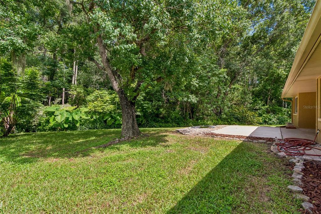 15109 Springview Street Tampa, FL 33624 - Photo 29 of 31