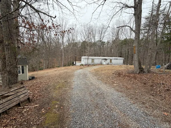 a view of a yard with trees